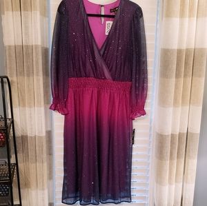 🌌 Purple Fuschia Ombré Sparkle Dress 🌌